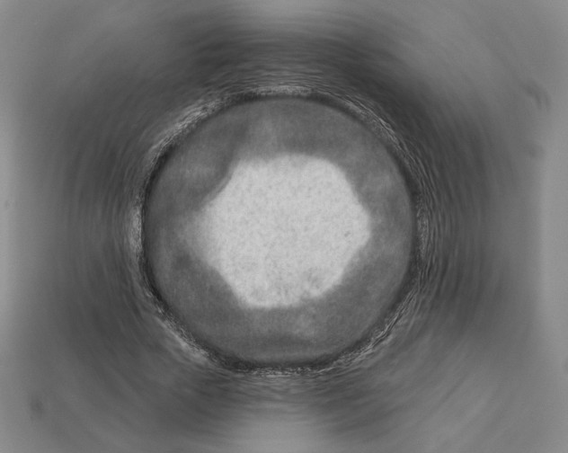 X0000113120729200909181648