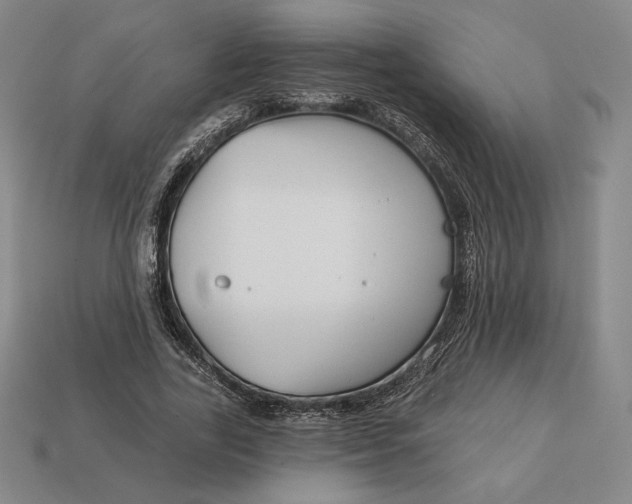 X0000113120731200909181648