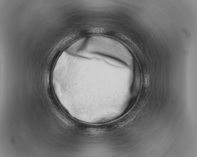 X0000113120733200909181648