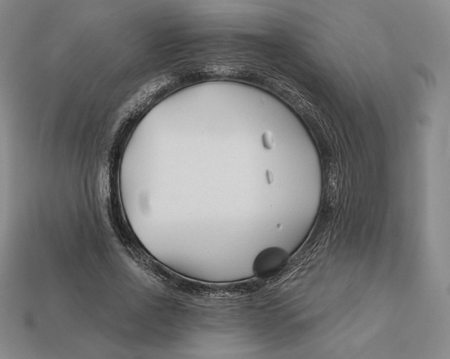 X0000113120734200909181648