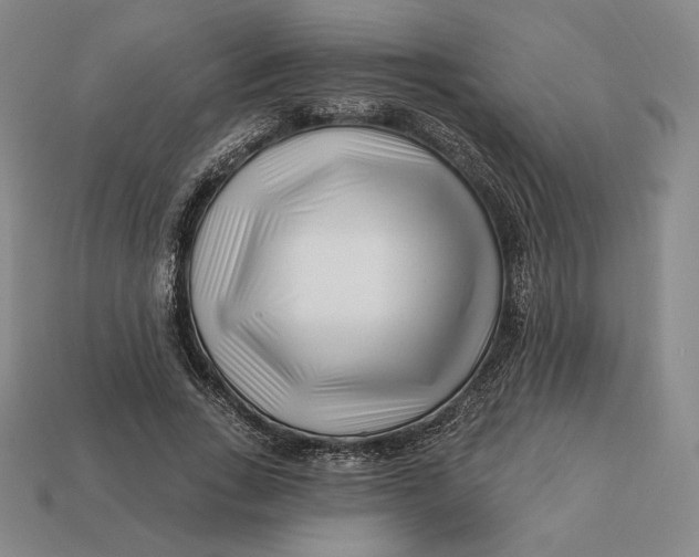 X0000113120735200909181648