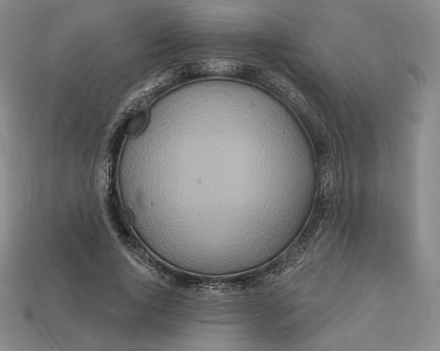 X0000113120736200909181648