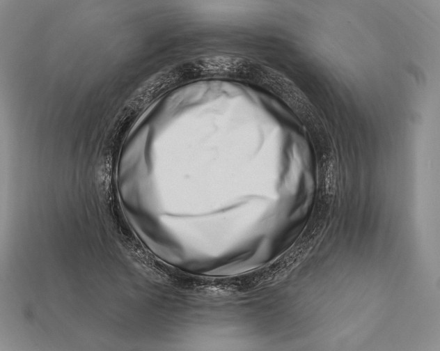 X0000113120737200909181648