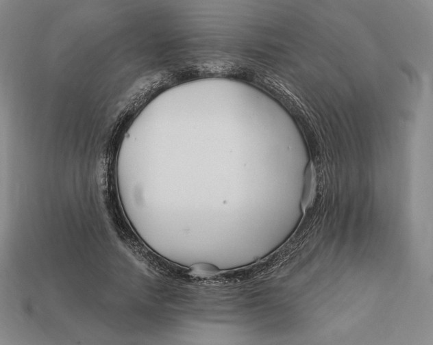 X0000113120738200909181648