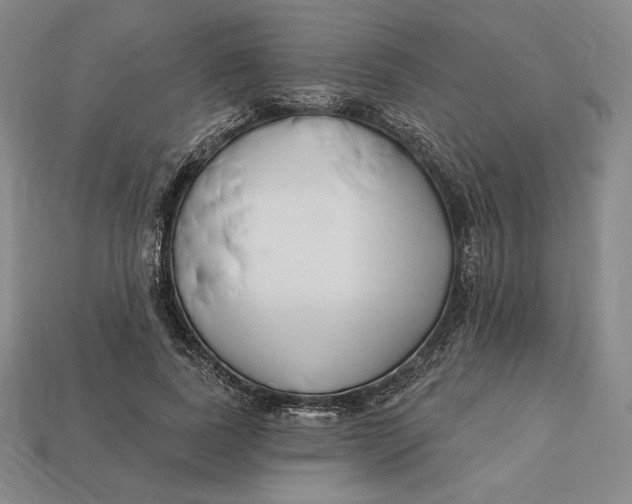 X0000113120739200909181648