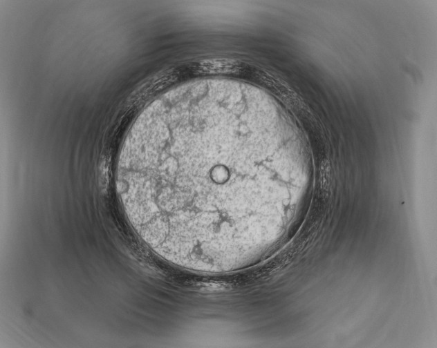 X0000113120741200909181648