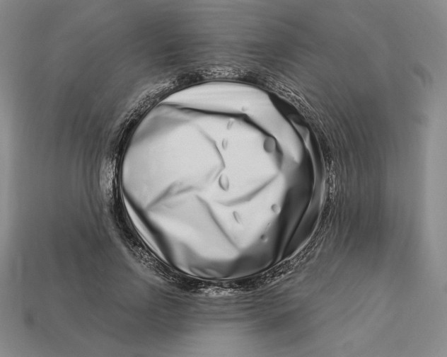 X0000113120742200909181648