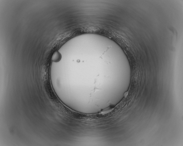 X0000113120743200909181648