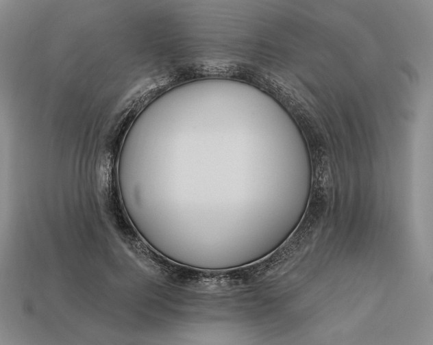 X0000113120744200909181648