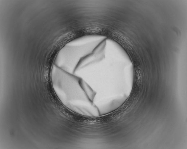 X0000113120745200909181648