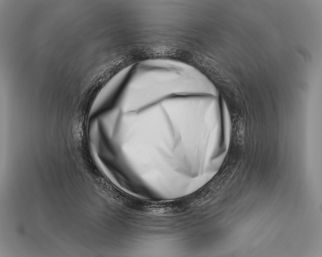 X0000113120746200909181648