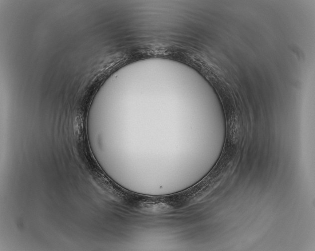 X0000113120747200909181648