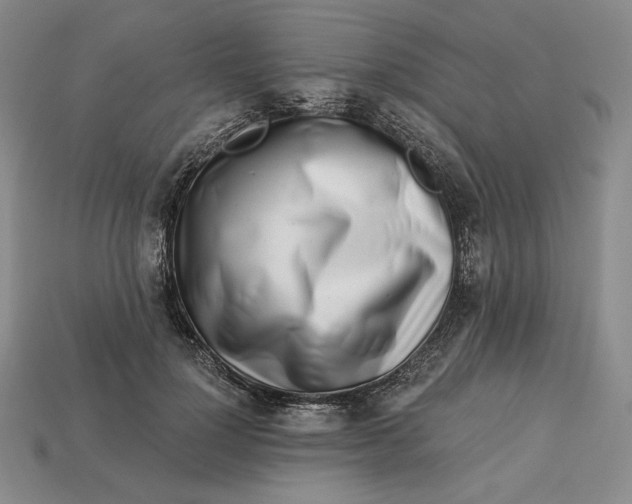 X0000113120748200909181648