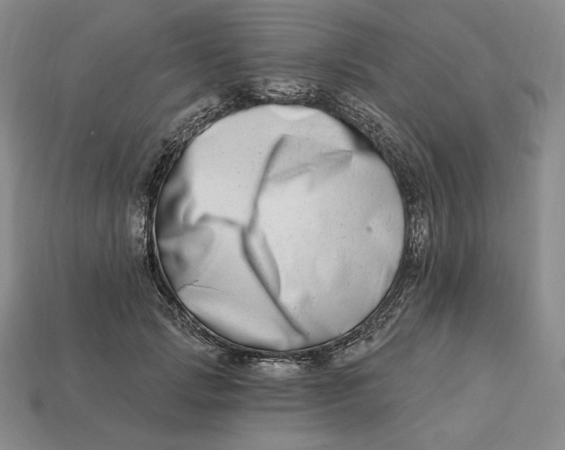 X0000113120749200909181648