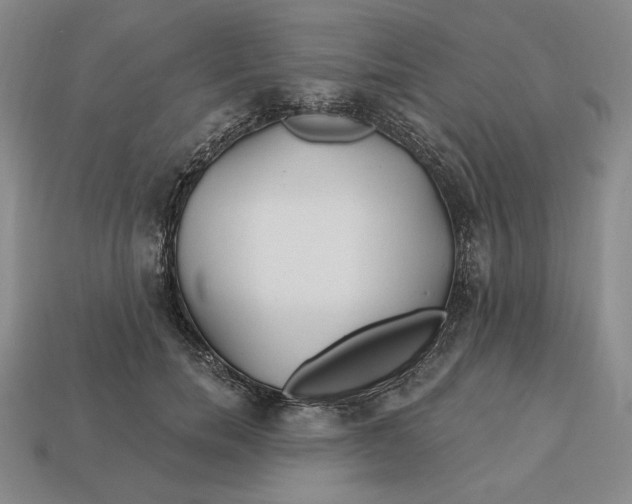 X0000113120750200909181648