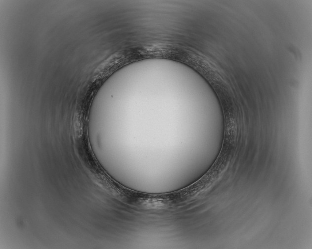 X0000113120751200909181648