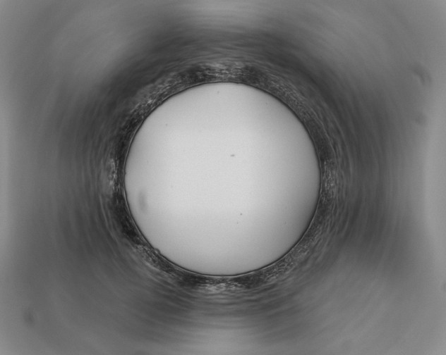 X0000113120752200909181648