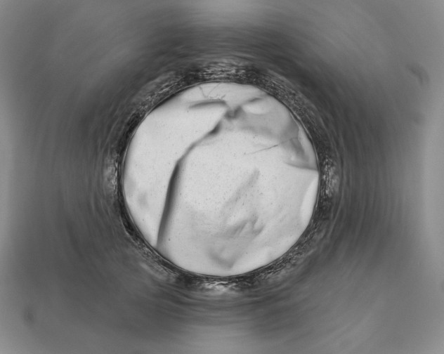 X0000113120753200909181648