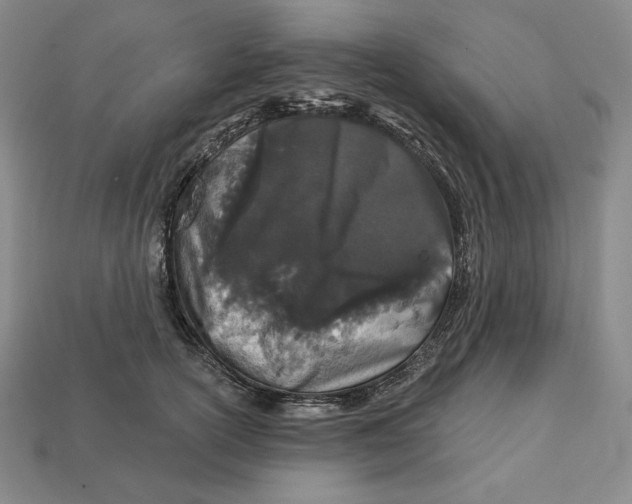 X0000113120754200909181648