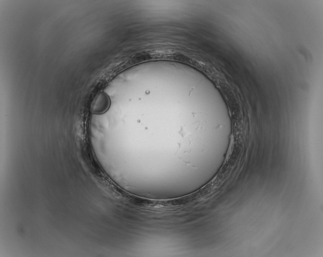 X0000113120755200909181648