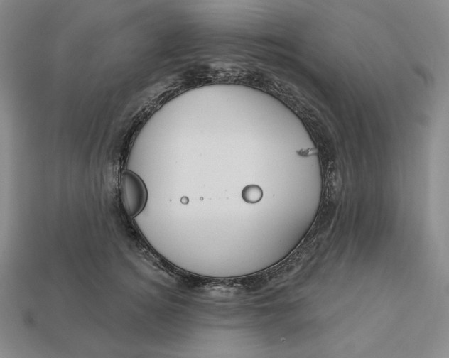 X0000113120756200909181648