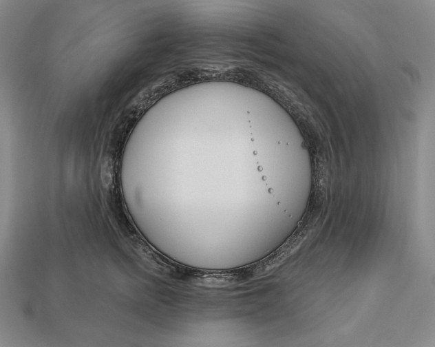 X0000113120758200909181648