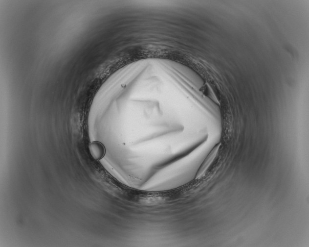 X0000113120759200909181648