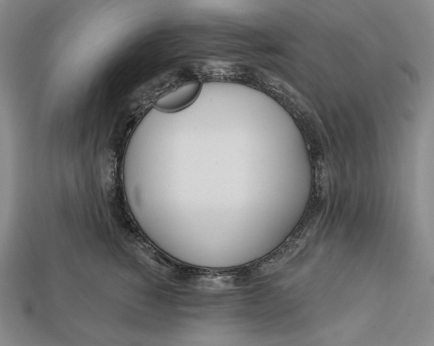 X0000113120760200909181648