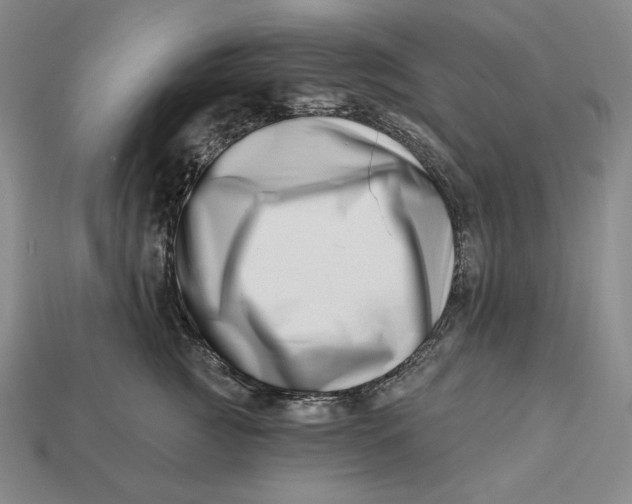 X0000113120761200909181648