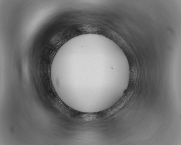 X0000113120762200909181648