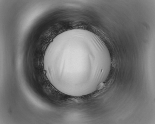 X0000113120763200909181648