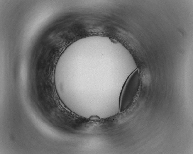 X0000113120764200909181648