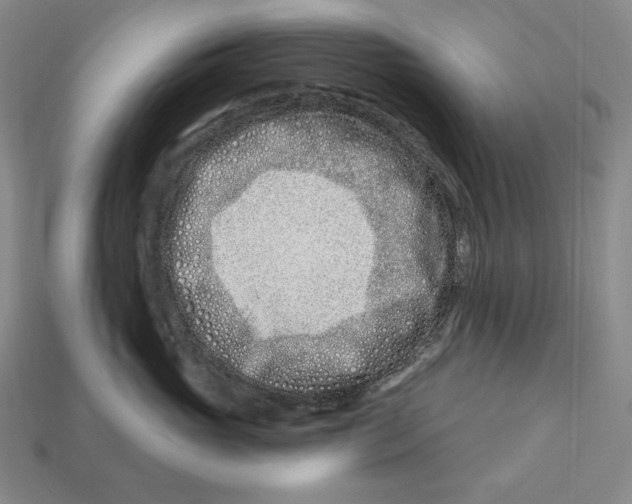 X0000113120765200909181648