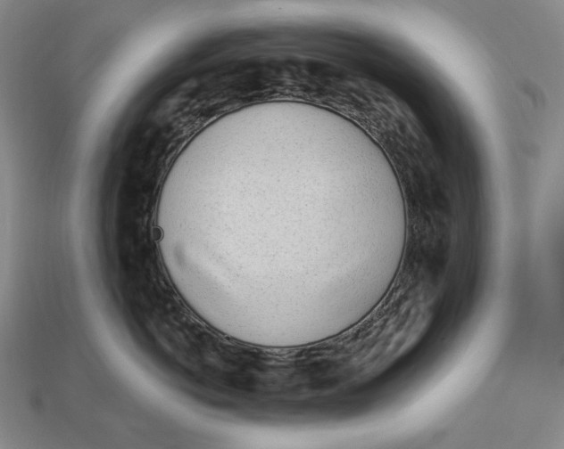 X0000113120766200909181648