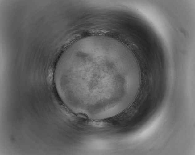 X0000113120767200909181648