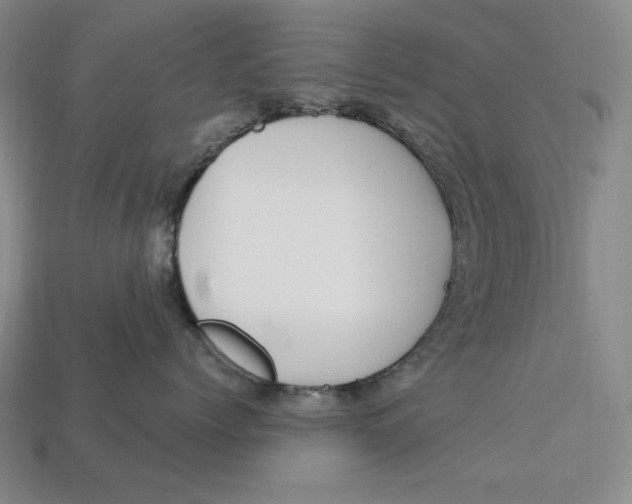 X0000113120768200909181648