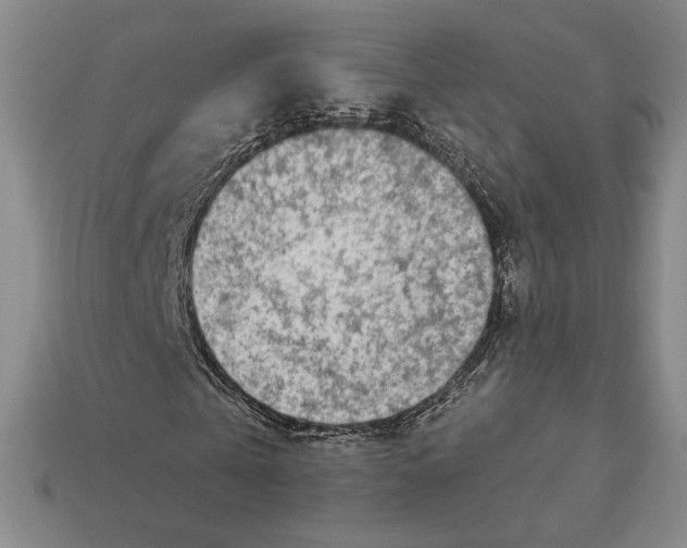 X0000113120769200909181648