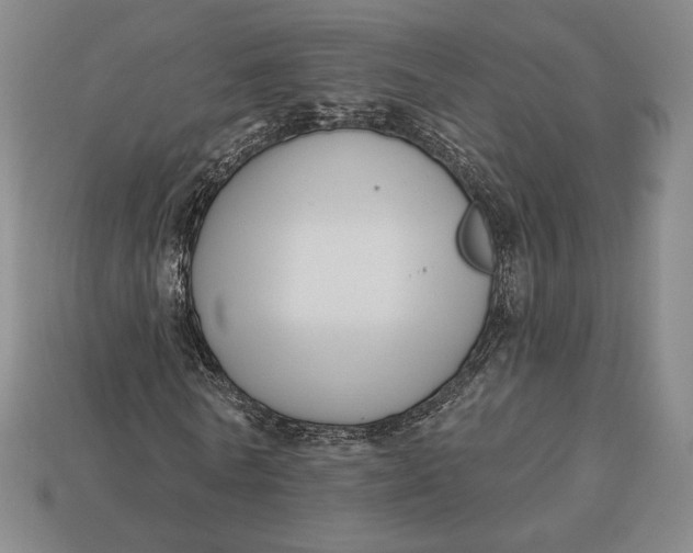 X0000113120770200909181648