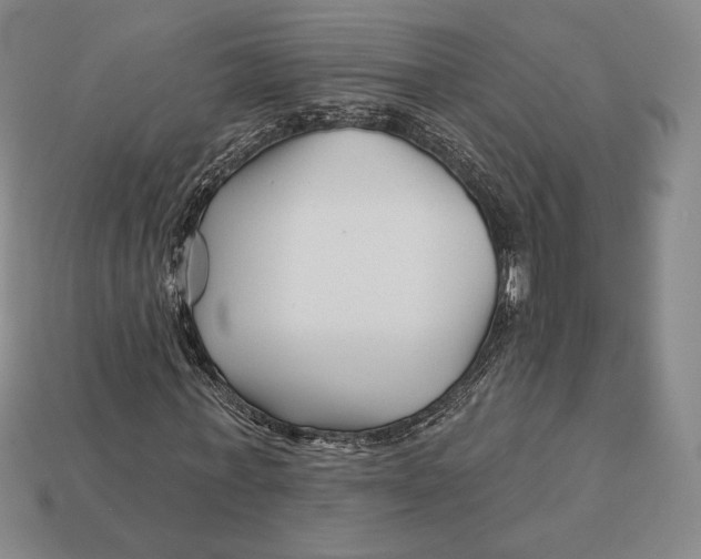 X0000113120771200909181648