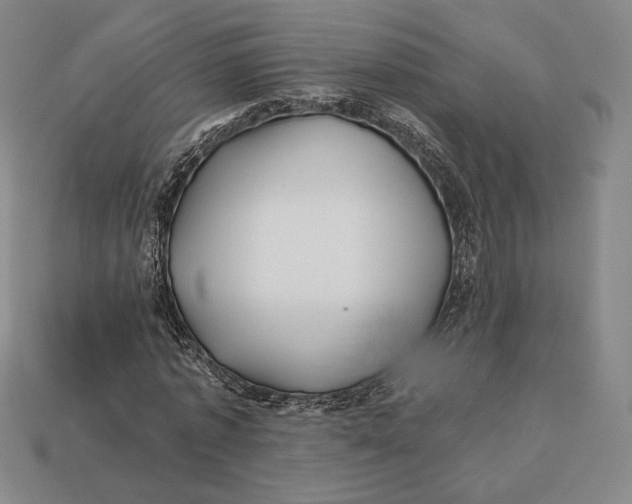 X0000113120773200909181648