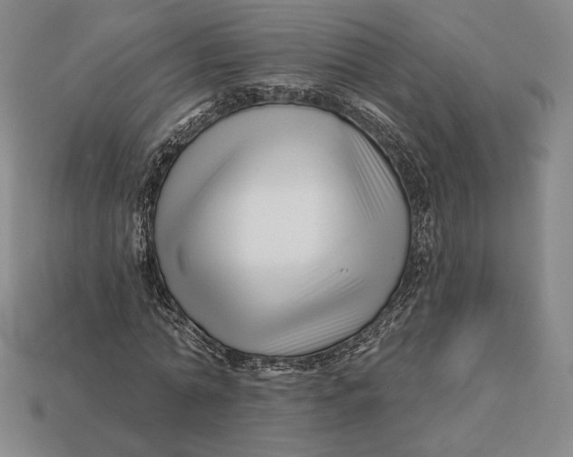 X0000113120774200909181648