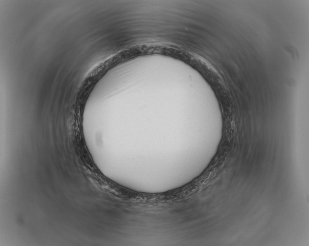 X0000113120775200909181648