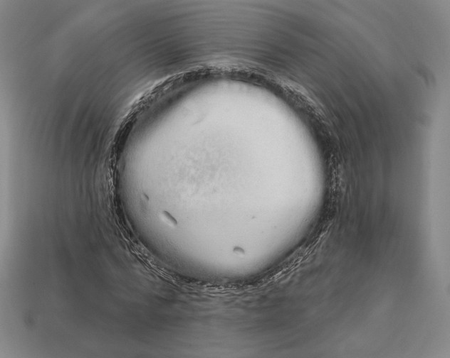 X0000113120776200909181648