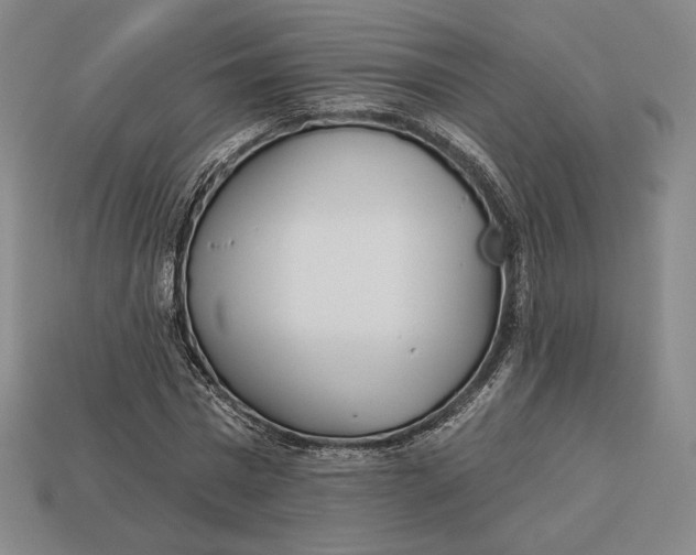 X0000113120777200909181648