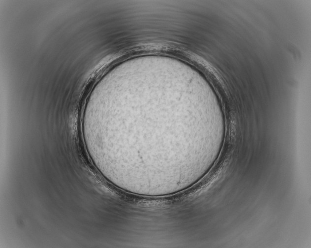 X0000113120778200909181648