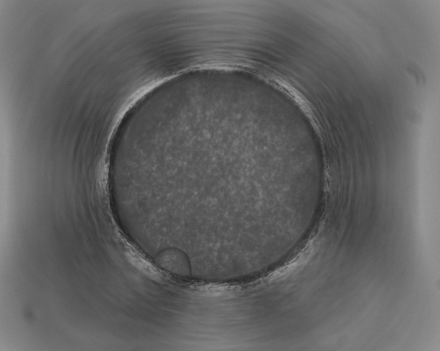 X0000113120779200909181648