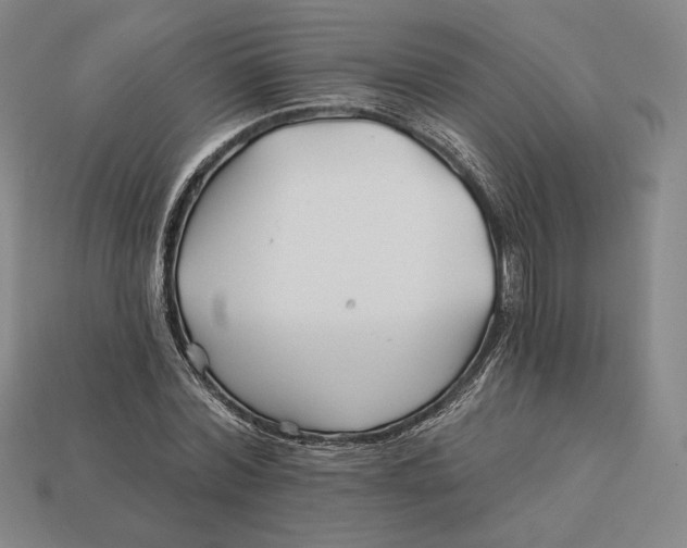 X0000113120780200909181648