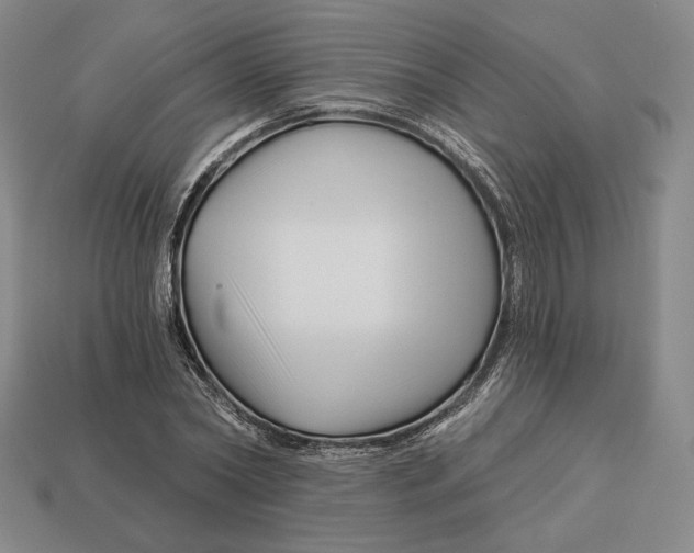 X0000113120782200909181648