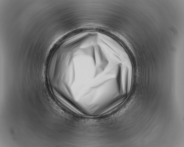 X0000113120783200909181648