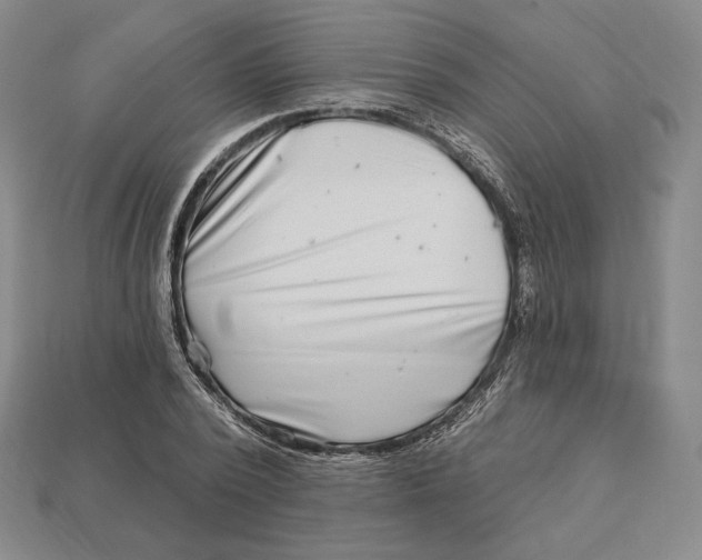 X0000113120784200909181648